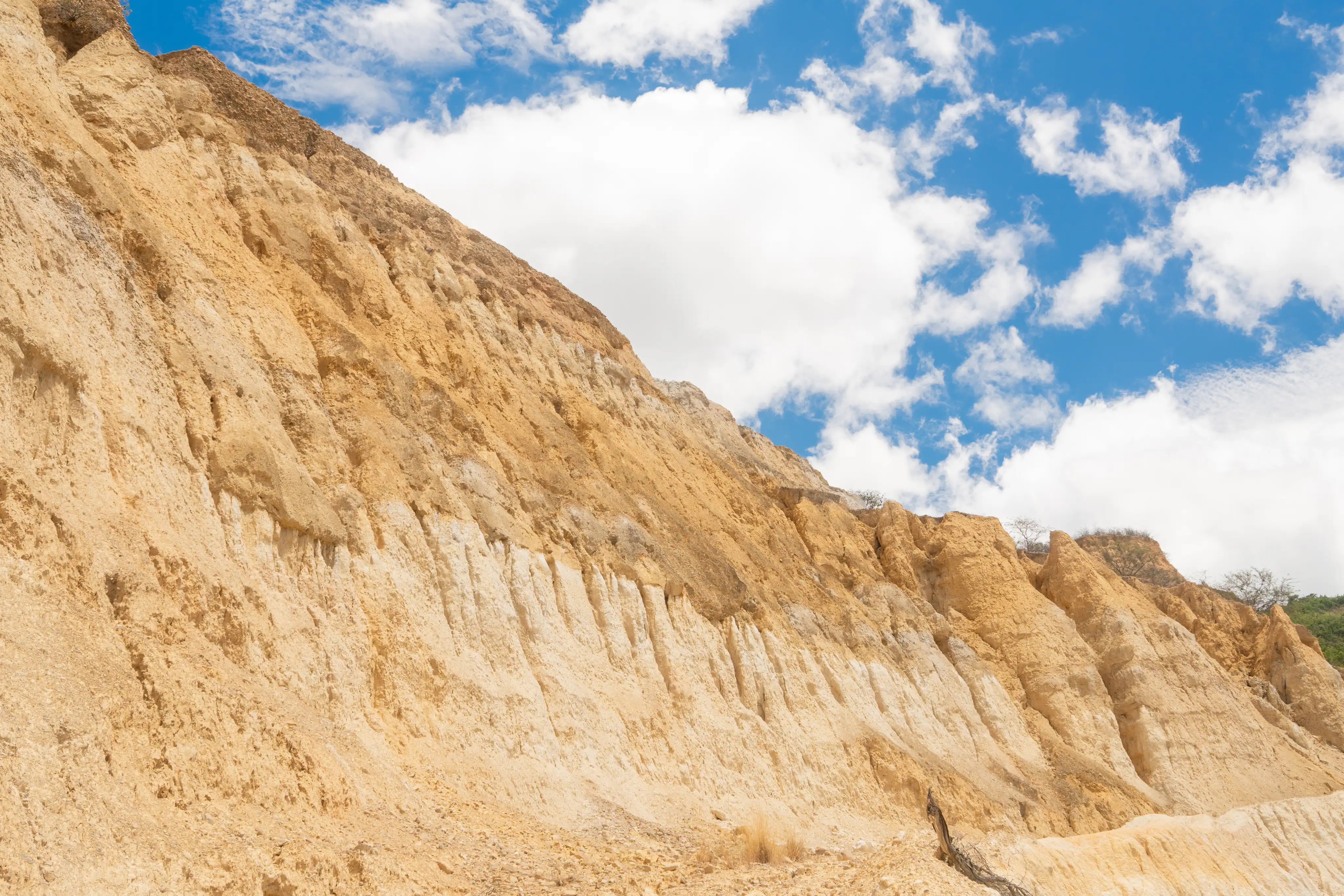 Terra Minera - Edificio corporativo